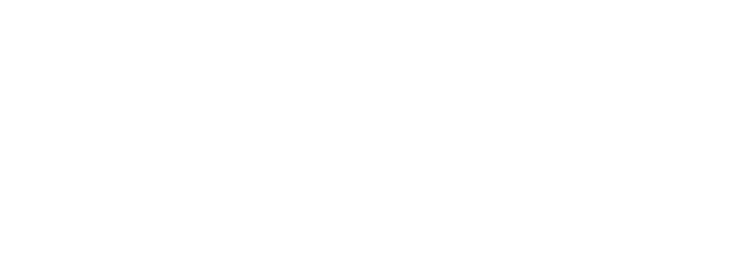 Prime Rips